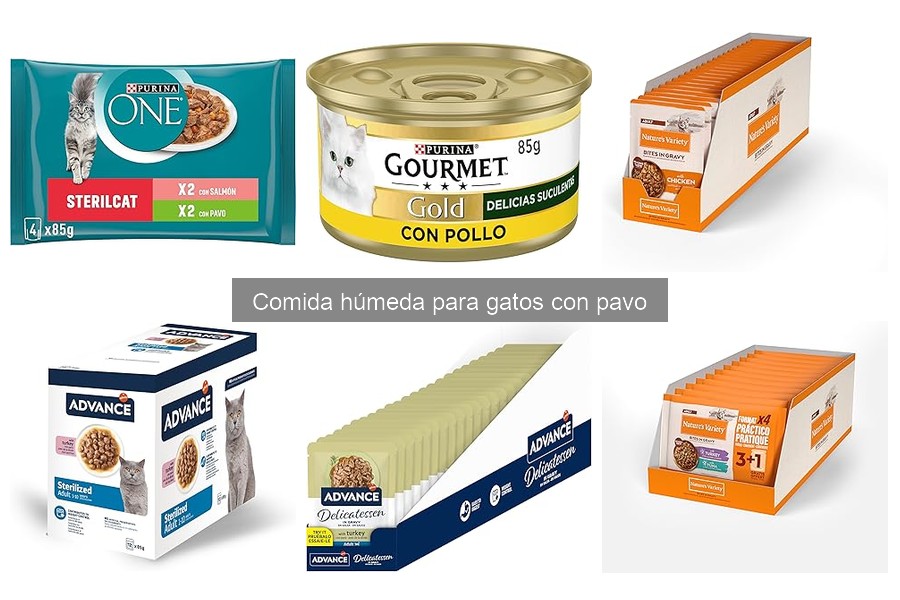 Alternativas a la comida húmeda de pavo para gatos exigentes