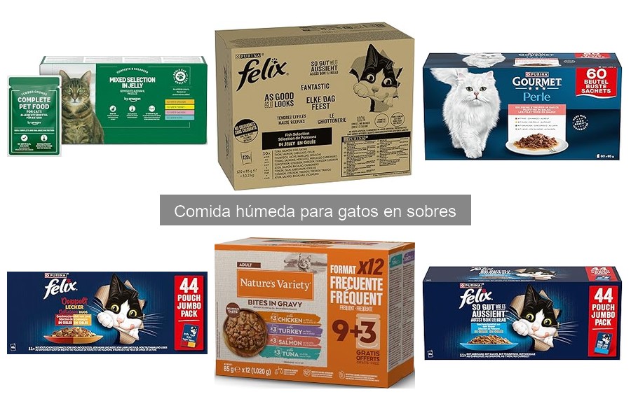 Alternativas a la comida húmeda en sobres para gatos