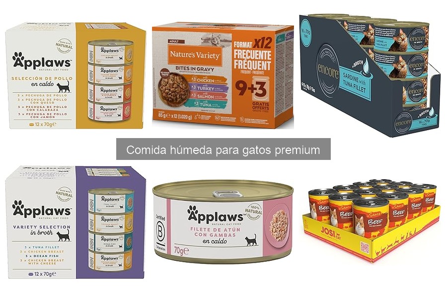Alternativas a la Comida Húmeda para Gatos con Alergias