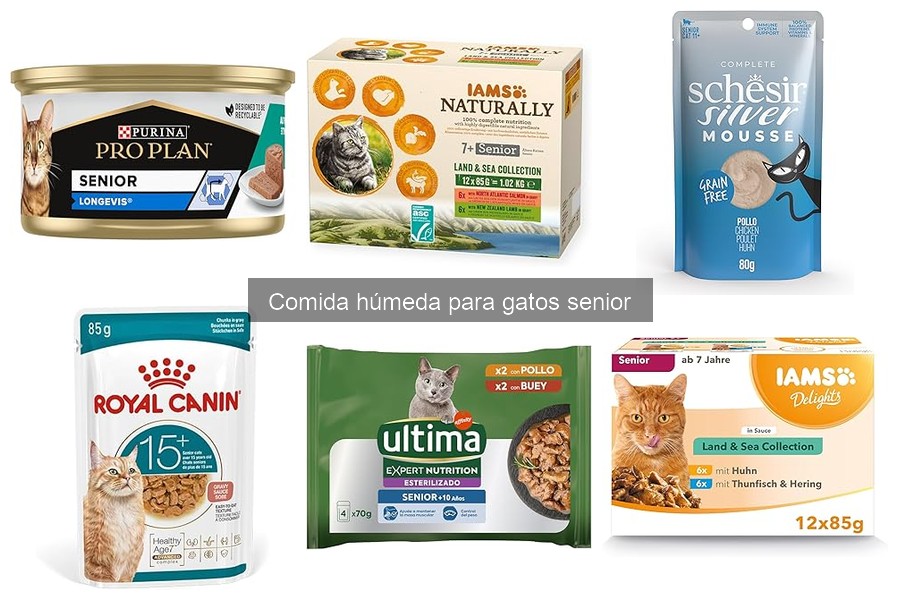 Alternativas a la Comida Húmeda para Gatos Senior