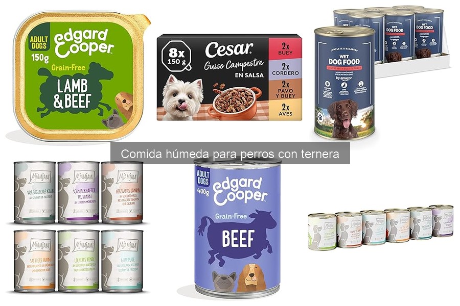 Alternativas a la comida húmeda para perros con ternera