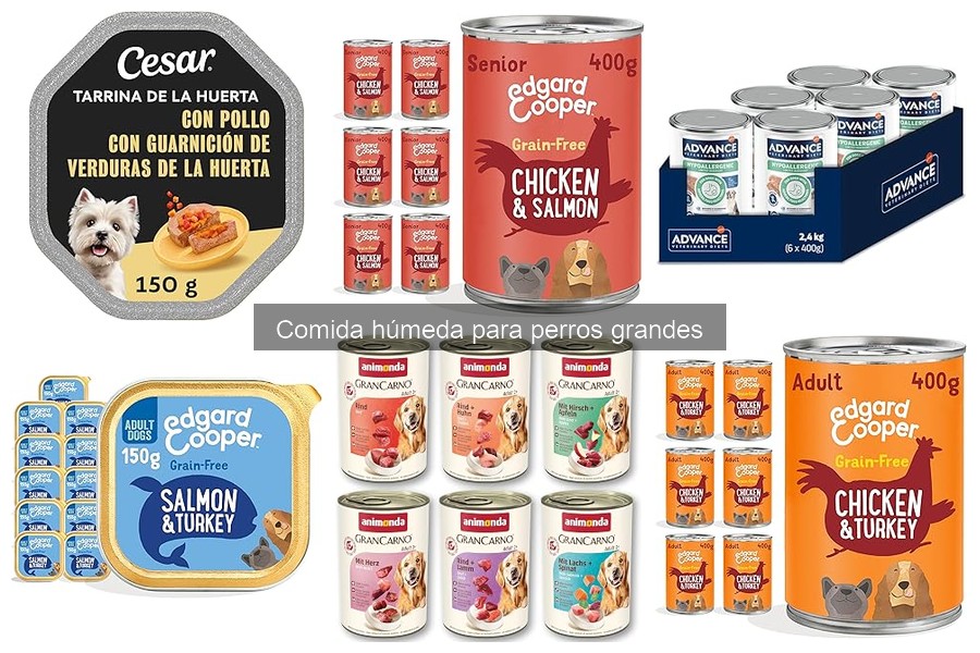 Alternativas a la comida húmeda para perros grandes con alergias