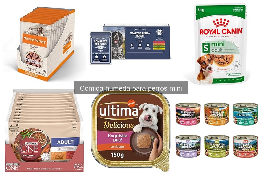 Alternativas a la comida húmeda para perros mini