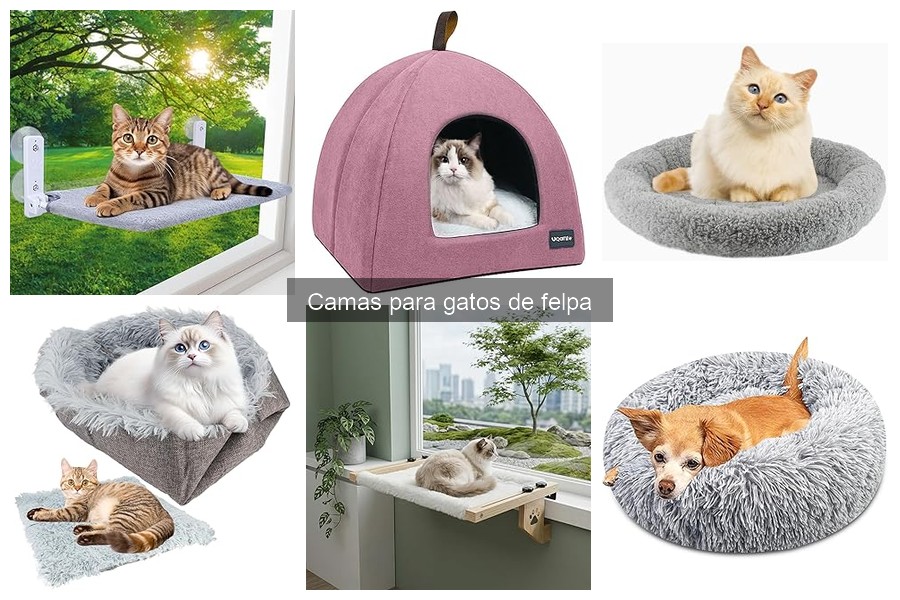 Alternativas a las camas de felpa para gatos: ¿qué elegir?