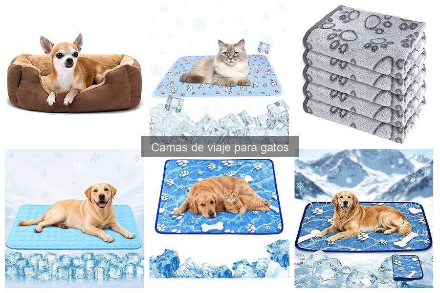 Alternativas a las camas de viaje para gatos: Guía práctica