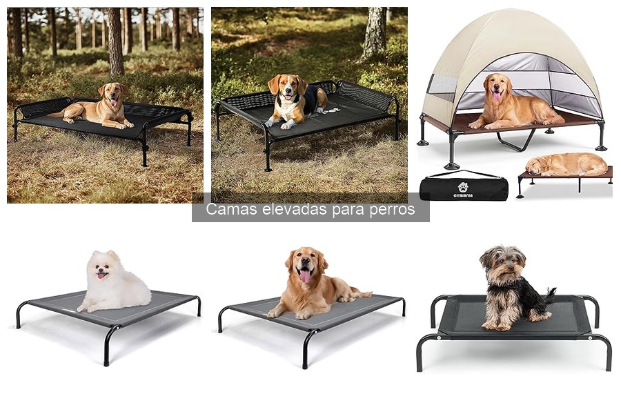 Alternativas a las camas elevadas para perros: opciones ideales