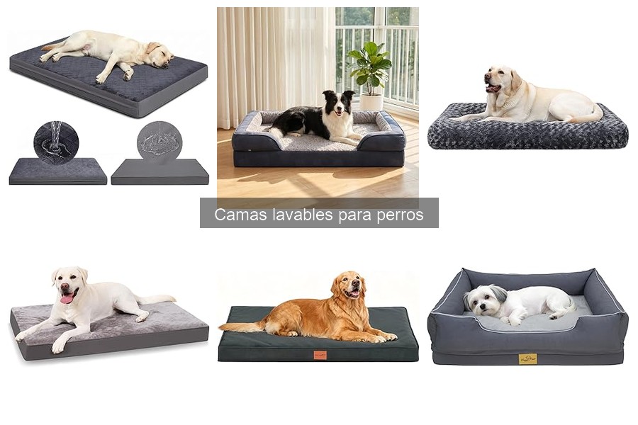 Alternativas a las camas lavables para perros: opciones cómodas