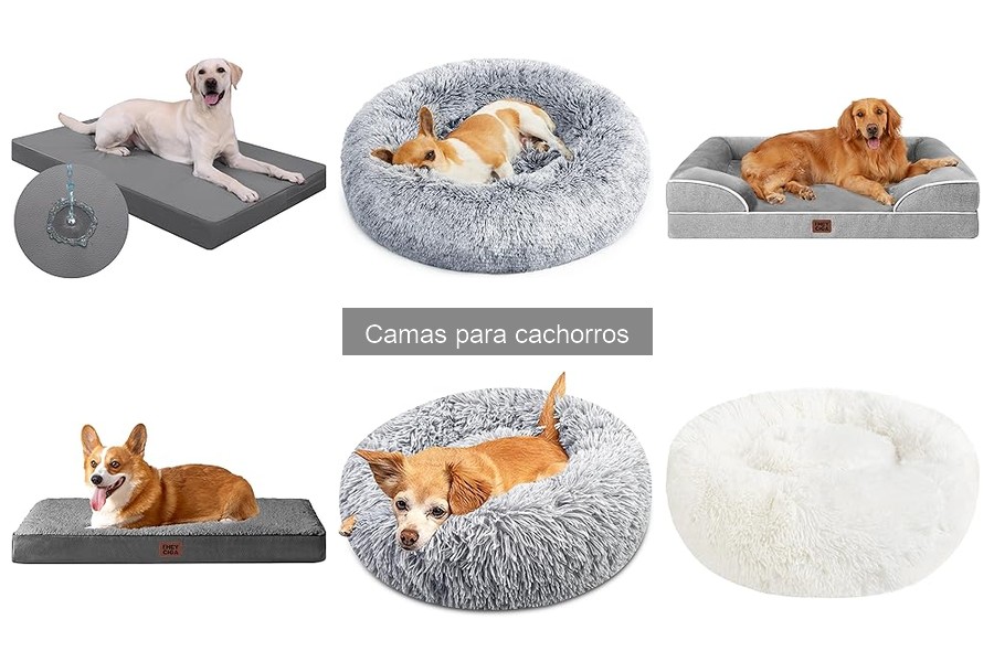 Alternativas a las camas para cachorros: colchones y más