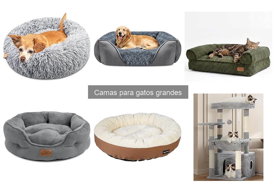 Alternativas a las camas para gatos grandes: Mejores opciones