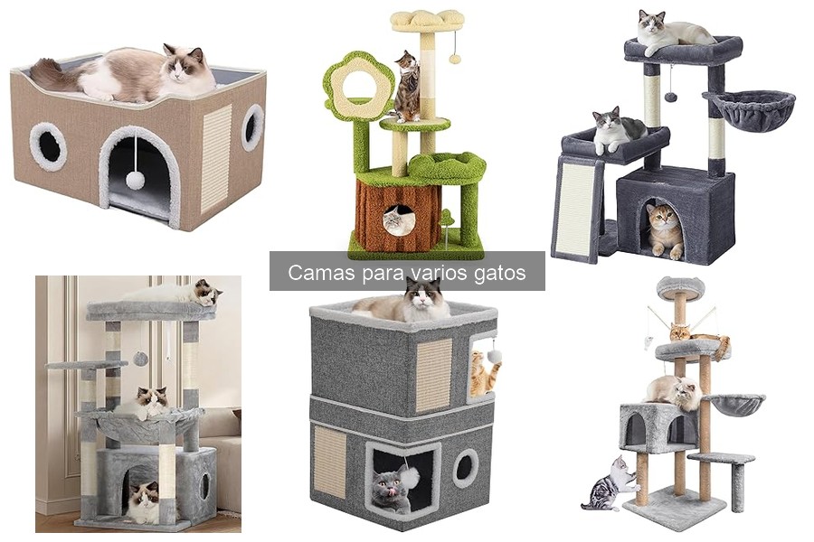 Alternativas a las camas para gatos: opciones creativas