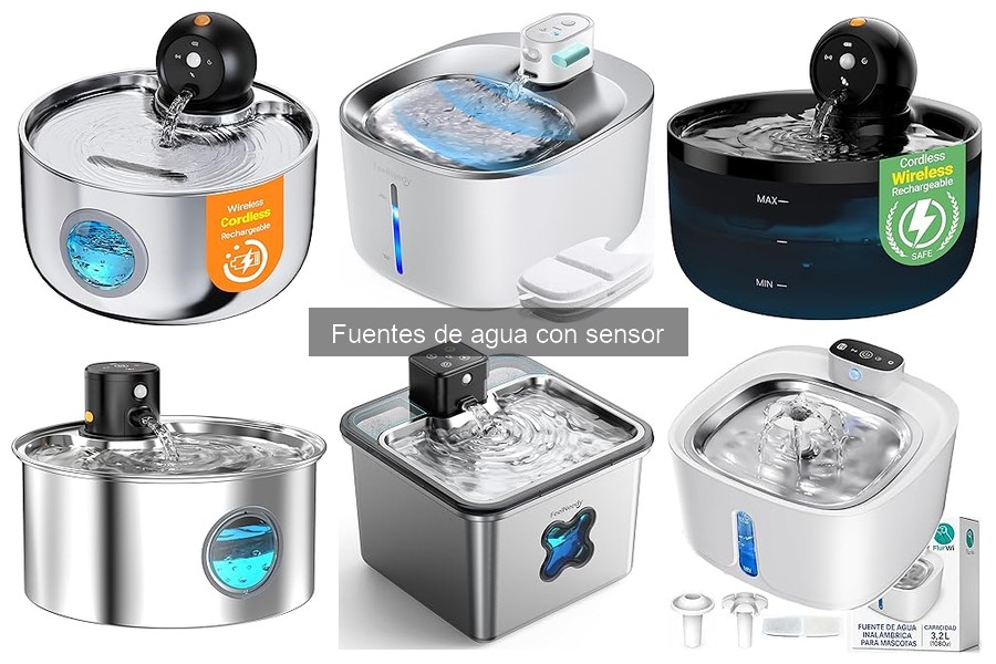 Alternativas a las fuentes de agua con sensor para mascotas
