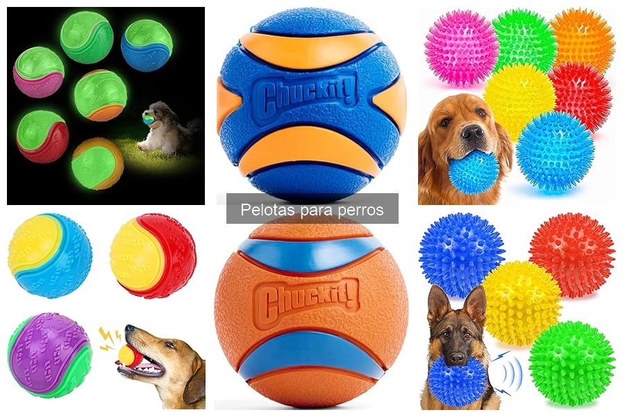 Alternativas a las pelotas para perros: Juguetes divertidos