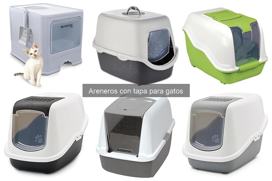 Alternativas a los areneros con tapa para gatos