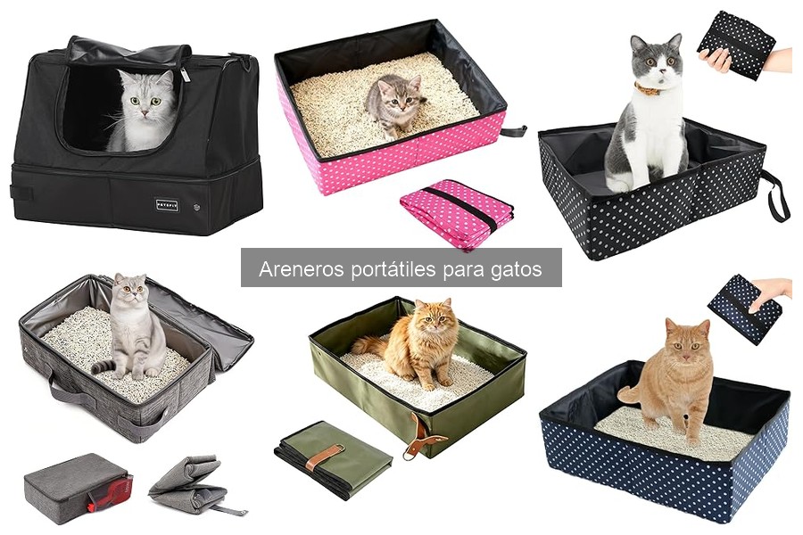 Alternativas a los areneros portátiles para gatos