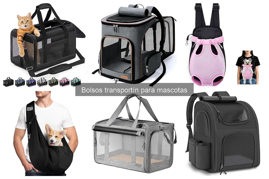 Alternativas a los bolsos transportín para mascotas