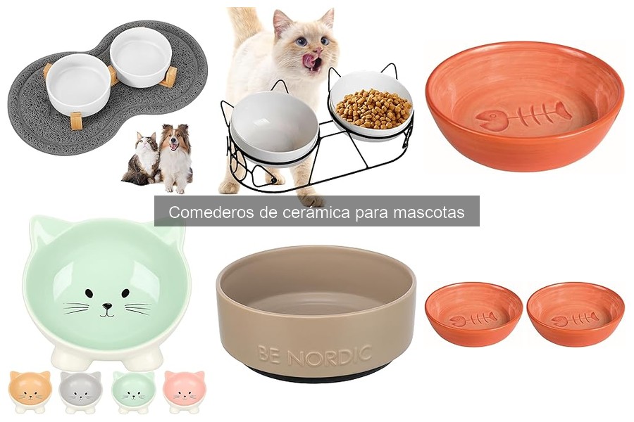 Alternativas a los comederos de cerámica para mascotas