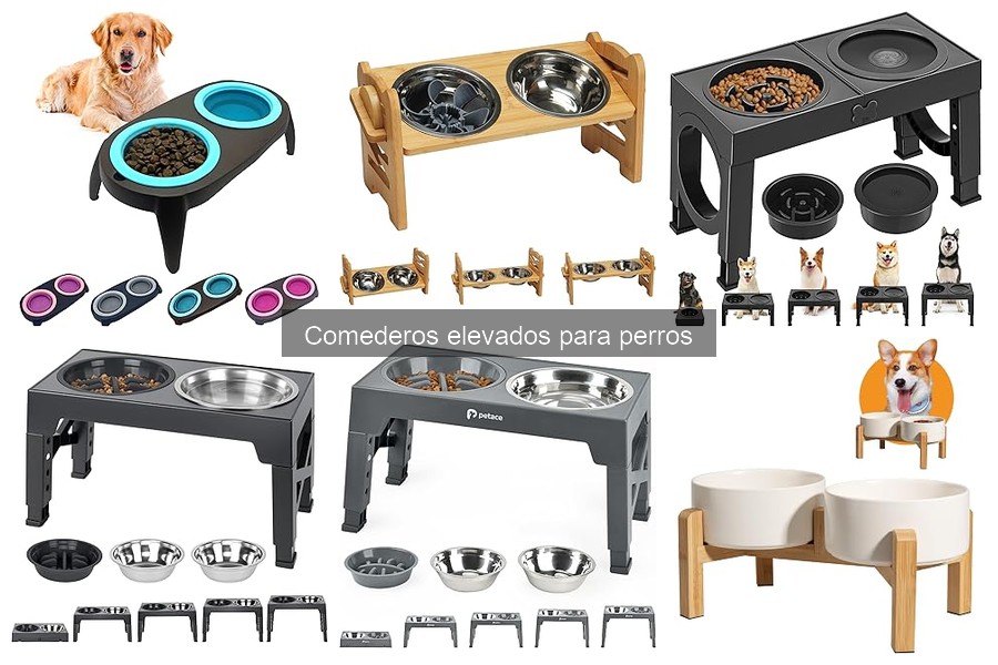 Alternativas a Los Comederos Elevados para Perros