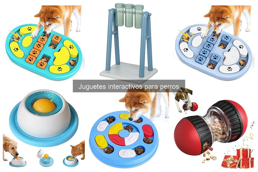 Alternativas a los juguetes interactivos para perros