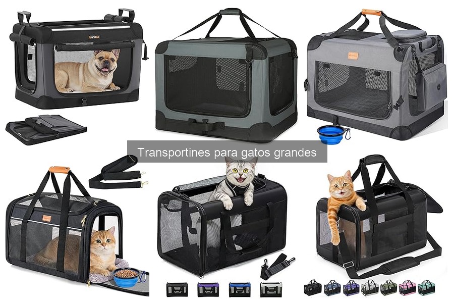 Alternativas a los Transportines para Gatos Grandes