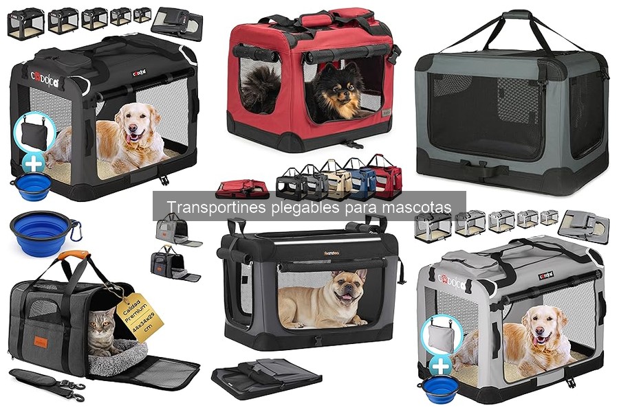 Alternativas a los transportines plegables para mascotas