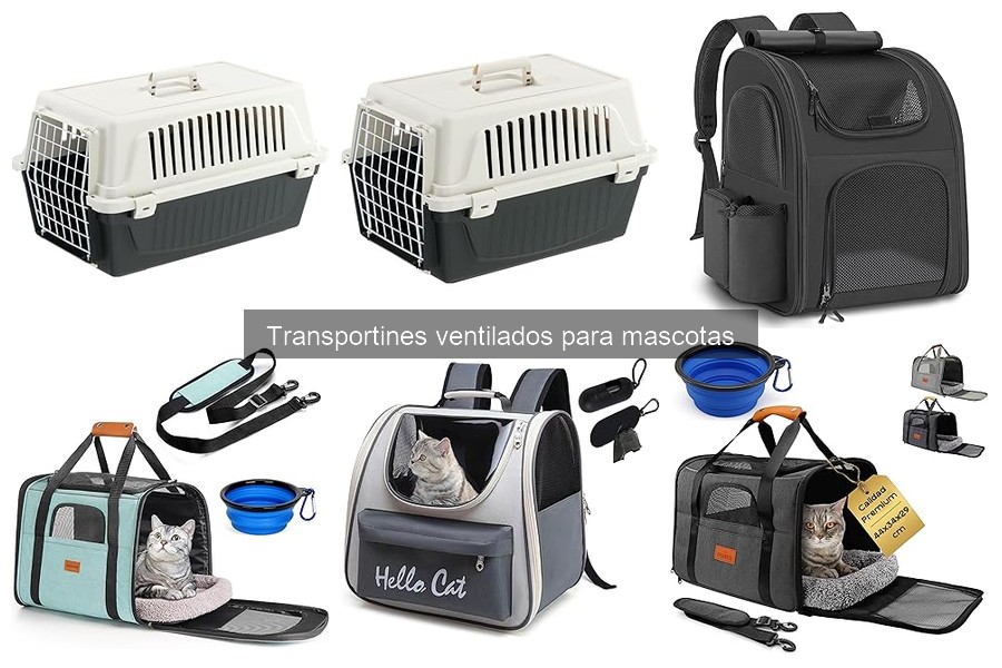 Alternativas a los transportines ventilados para mascotas