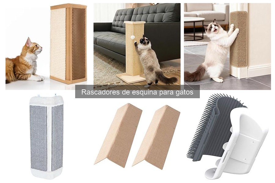 Alternativas a rascadores de esquina para gatos