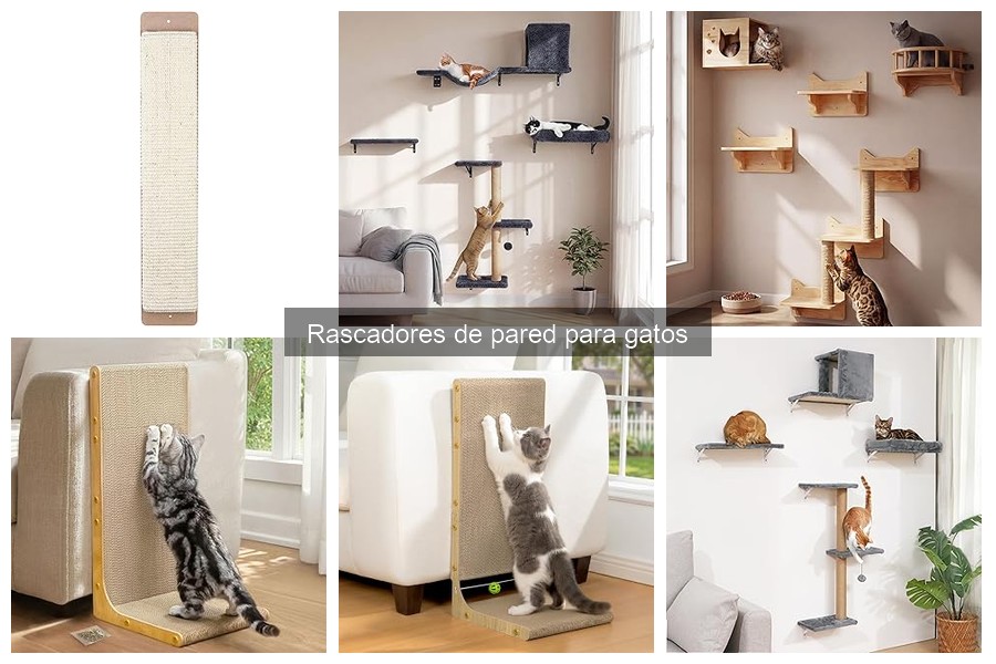 Alternativas a rascadores de pared para gatos: opciones efectivas