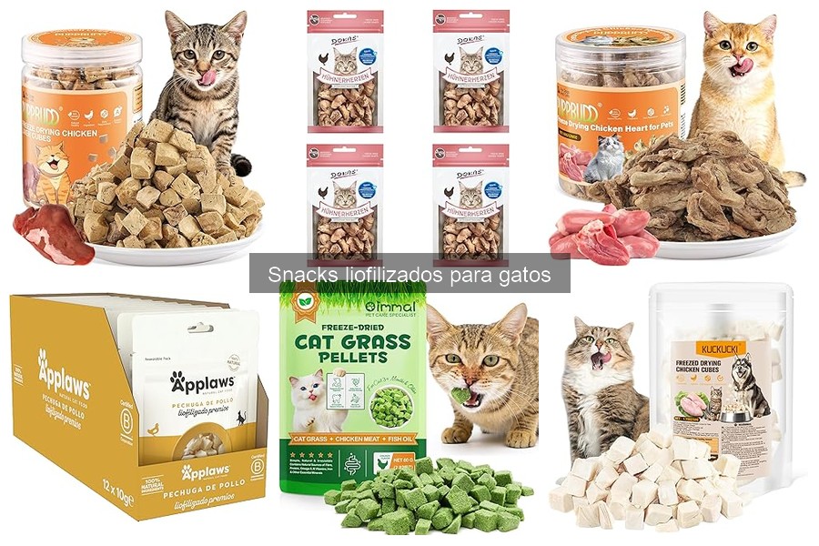 Alternativas a Snacks Liofilizados para Gatos: ¡Descúbrelas!