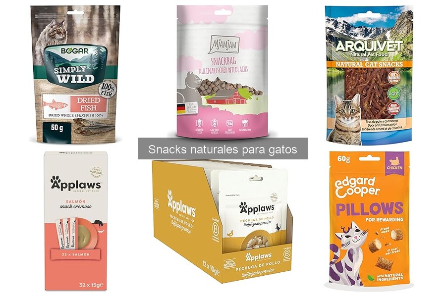 Alternativas a snacks naturales para gatos que no aceptan