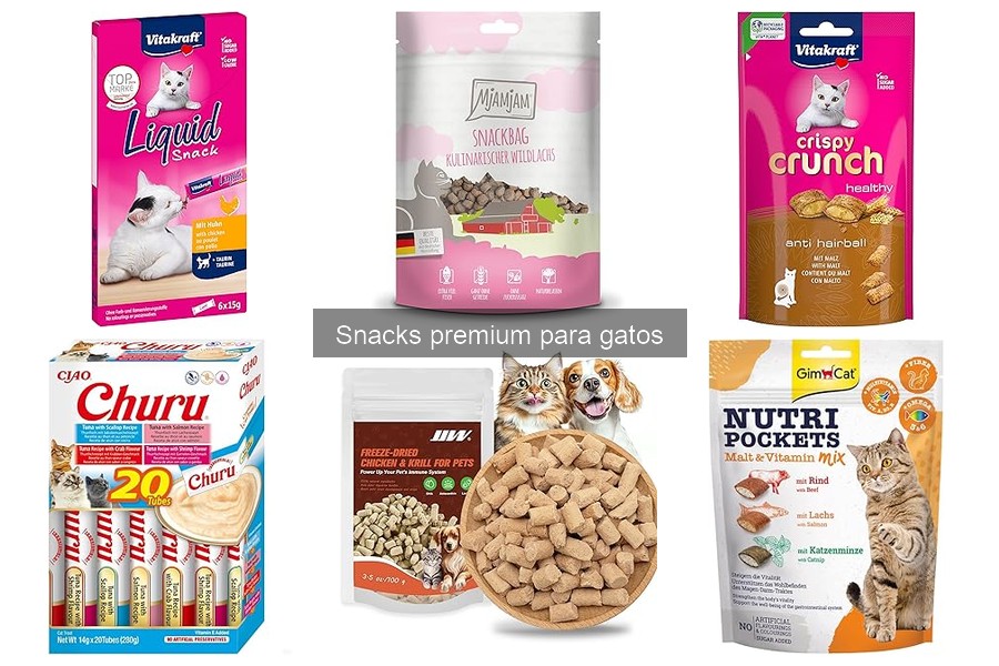 Alternativas a snacks premium para gatos: opciones saludables
