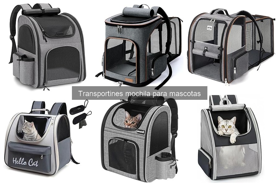 Alternativas a transportines mochila para mascotas