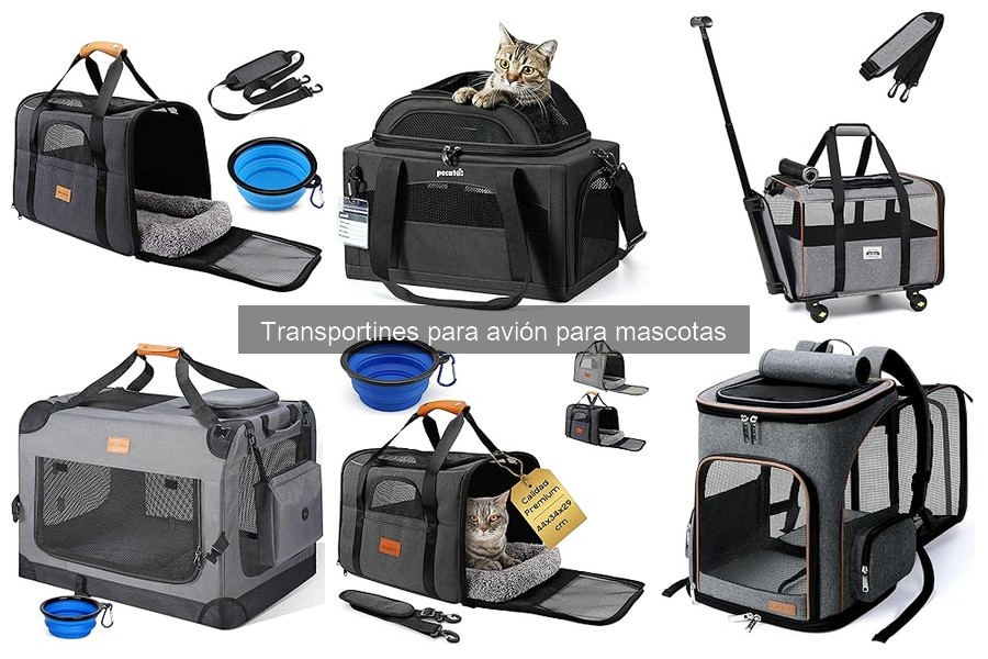 Alternativas a transportines para avión: opciones efectivas
