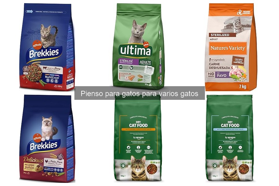 Alternativas al Pienso Comercial para Gatos: Opciones Saludables