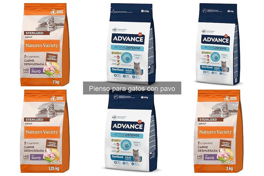 Alternativas al pienso con pavo para gatos