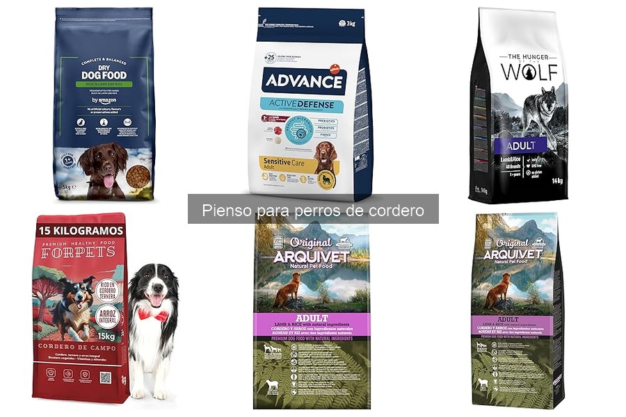 Alternativas al Pienso de Cordero para Perros que No Aceptan