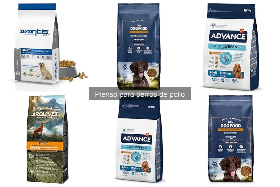 Alternativas al pienso de pollo para perros con alergias