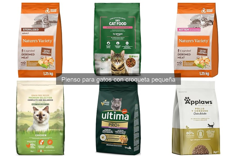 Alternativas al pienso para gatos con croqueta pequeña