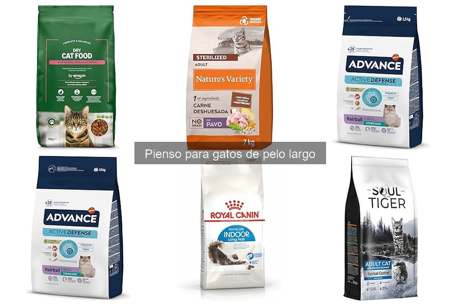 Alternativas al pienso para gatos de pelo largo que no engordan