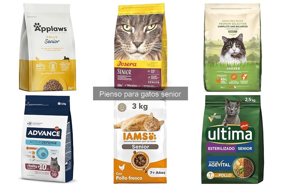 Alternativas al pienso para gatos senior: opciones saludables