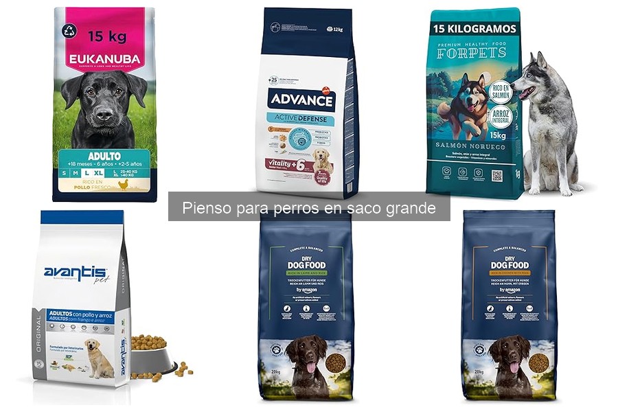 Alternativas al Pienso para Perros en Saco Grande