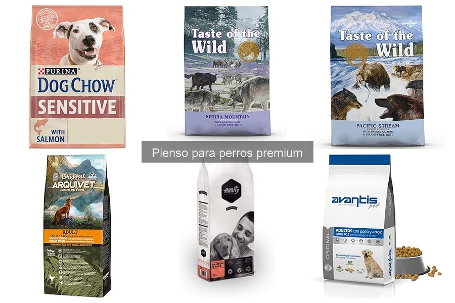Alternativas al Pienso Premium para Perros con Alergias