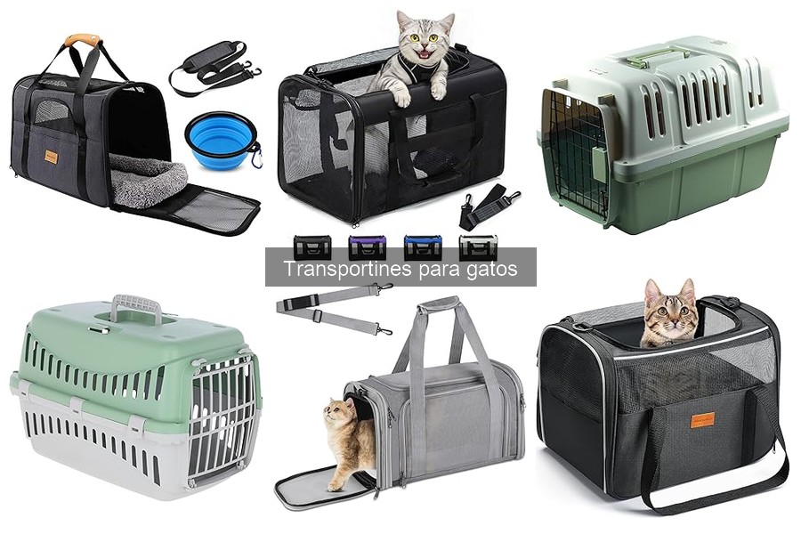 Alternativas al transportín tradicional para gatos