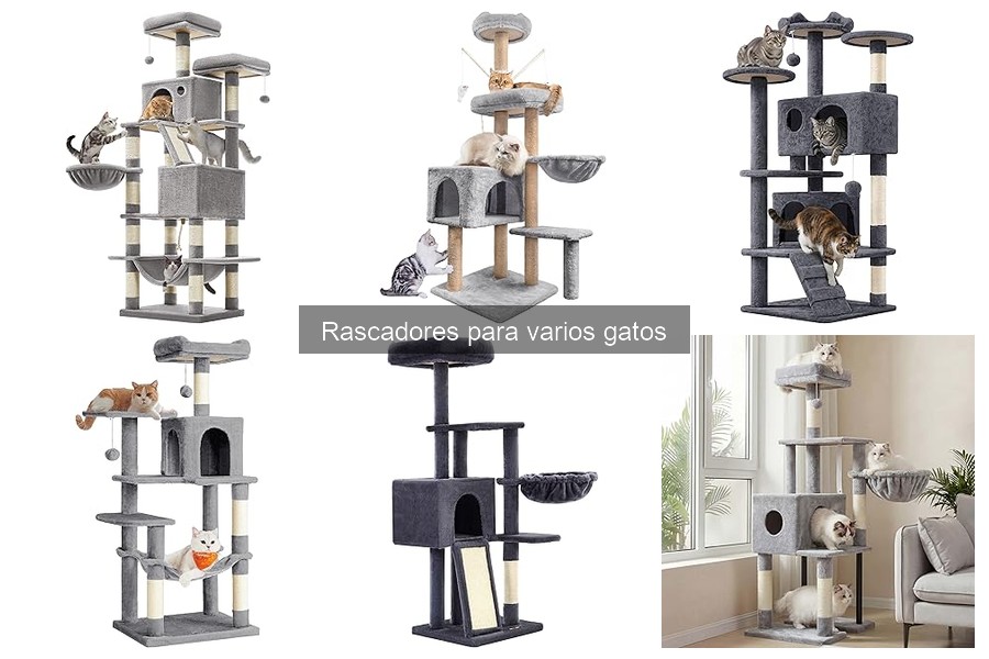 Alternativas efectivas a los rascadores para gatos