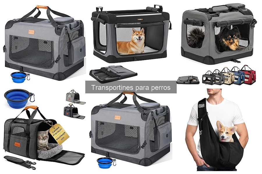 Alternativas efectivas a los transportines para perros