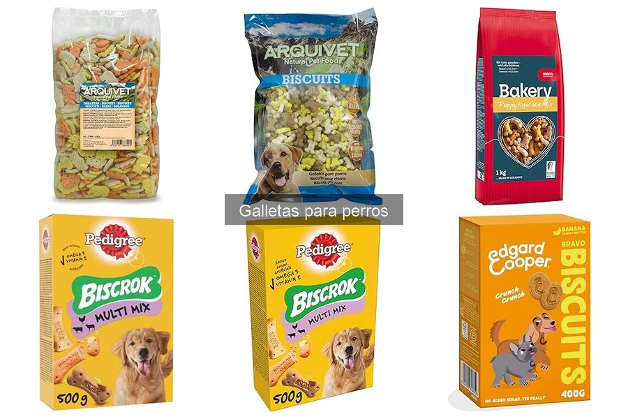 Alternativas saludables a las galletas comerciales para perros