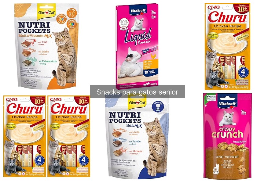 Alternativas saludables a los snacks comerciales para gatos senior