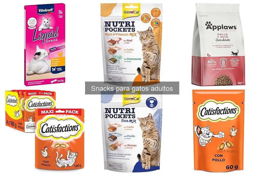 Alternativas Saludables a Snacks Comerciales para Gatos