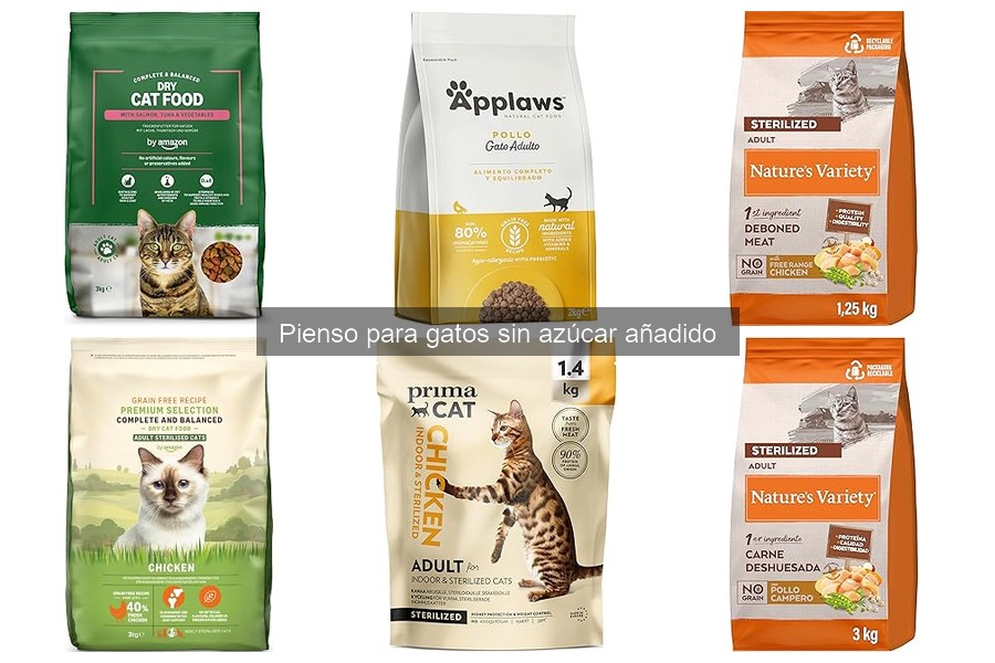Alternativas saludables al pienso para gatos sin azúcar
