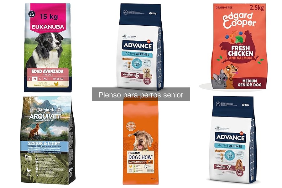 Alternativas saludables al pienso para perros senior