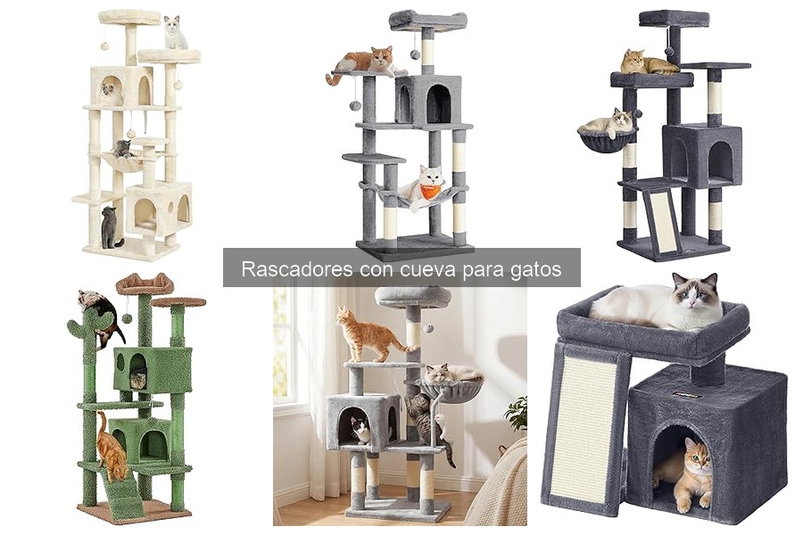 Análisis de materiales y durabilidad en rascadores con cueva